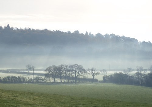 View from Hurst Hill