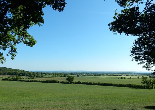 View from Hurst Hill